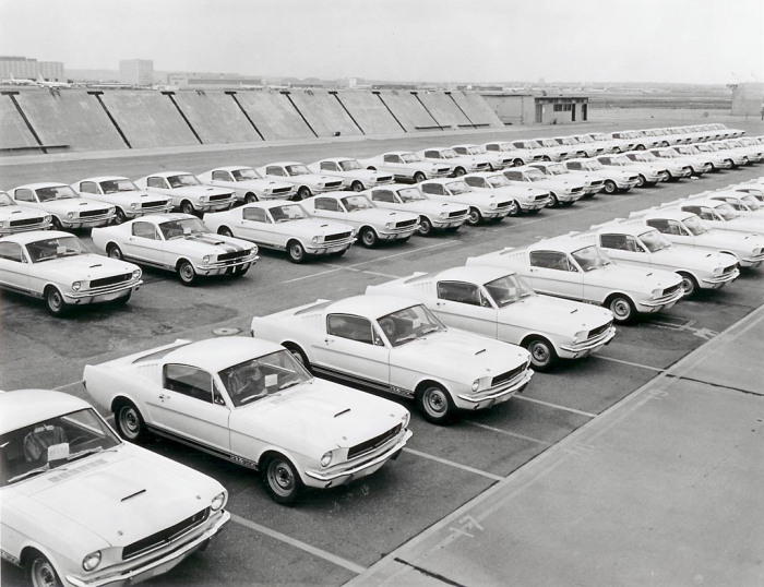 Printemps 1965, les premières Shelby 350GT terminées en attente de livraison sur le parking extérieur de l’atelier « Shelby American », installé sur l’aéroport de Los Angeles. Notez le peu d’exemplaires revêtus des « Blue Le Mans Stripes ».(copyright archives AgrippA mediA /// archives Ford Motor Company)